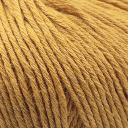 Amore WS 160 mustard 44