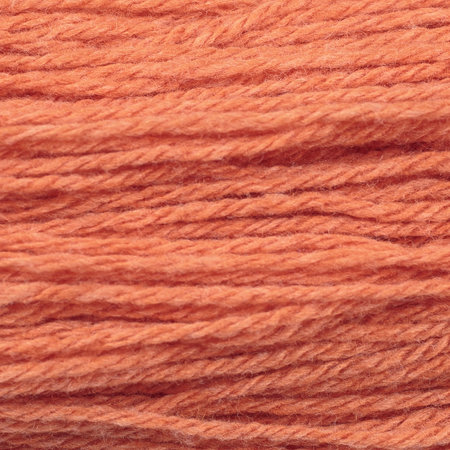 Borgo de pazzi Amore WS 160 pumpkin 48
