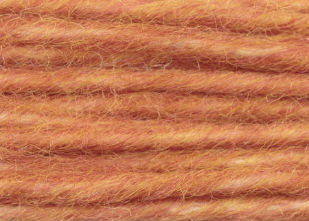 clara 244