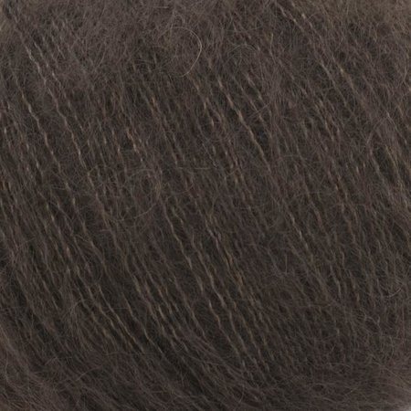silky kid bruin 116