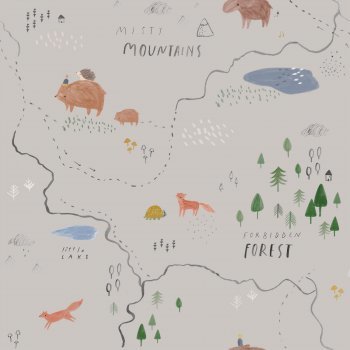 misty mountains - soft shell