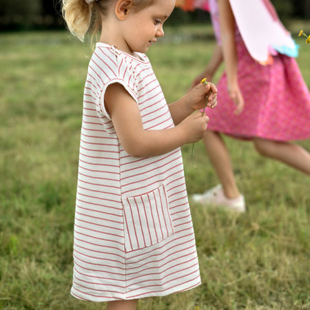 stripes hazelnut - slub jersey