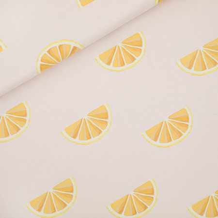 oranges - canvas