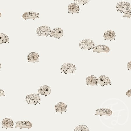 hedgehog - jersey