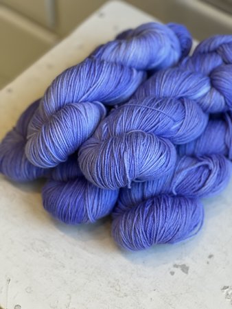 Julija Lion sock free