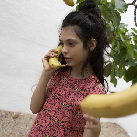 apes en bananas- jersey