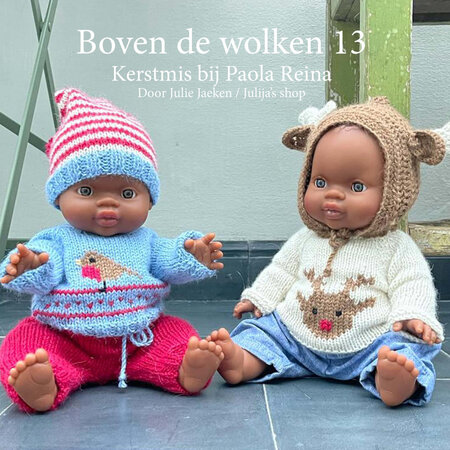 Kerstpakket: breien voor Paola Reina (eland)