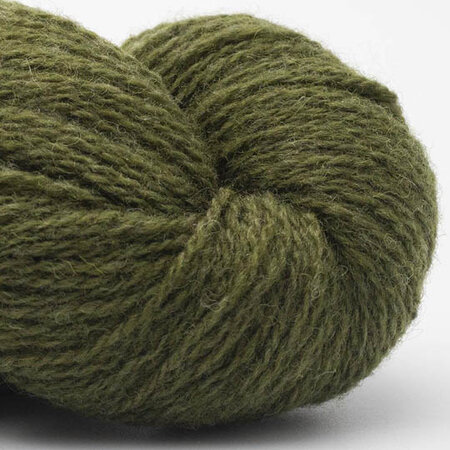 BC Garn - Bio shetland 09