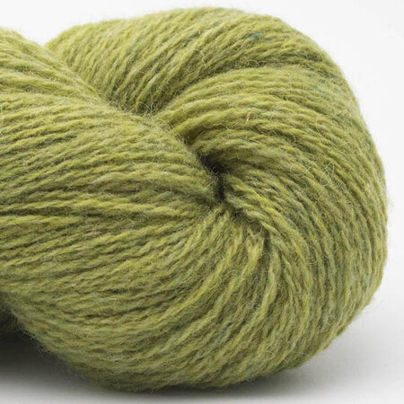 BC Garn - Bio shetland 10