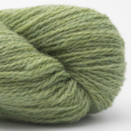 BC Garn - Bio shetland 11