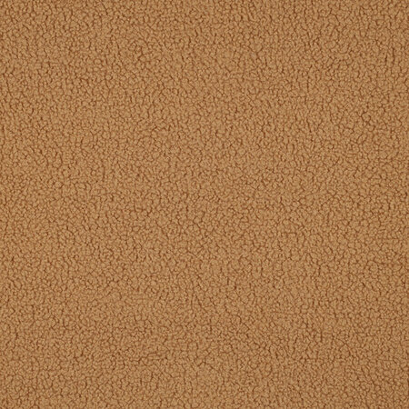 teddy camel