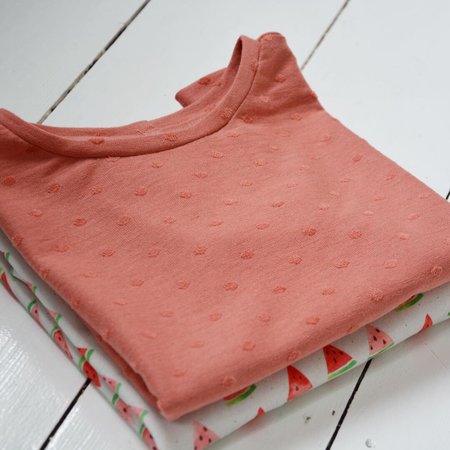 Fons en Sien T-shirt