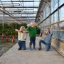 Breipatroon Cactus met fanatiesteek