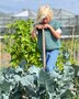 Breipatroontje Broccoli voor groot en klein