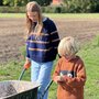 Breipakket Romanesco