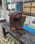 Breipakket Sophie shawl roest