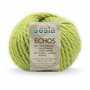 Sesia Echos 2462